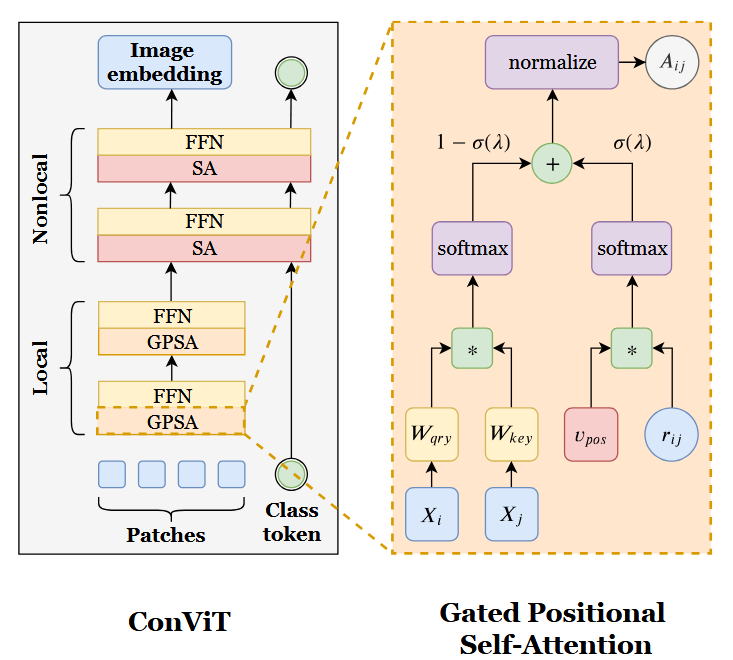Convit -GPSA